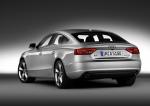 Audi A5 Sportback 3.0 TDI Quattro 2009 года